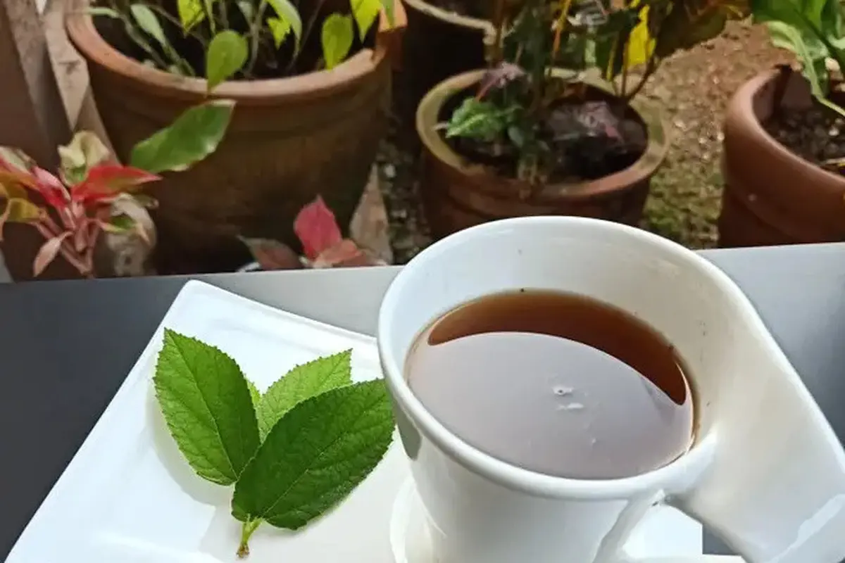 Teh Jahe Daun Kersen