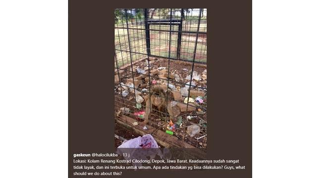Tak Layak Huni, 4 Potret Mini Zoo Ini Bikin Miris