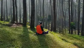 Healing Forest Bisa Redakan Stres hingga Tingkatkan Imunitas