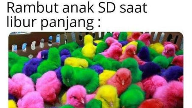 Bikin Senyum, 7 Meme Kocak Dampak Libur Panjang