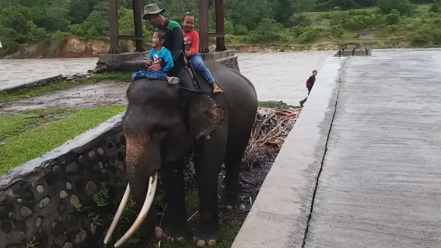 Taman Nasional Seblat merupakan salah satu balai konservasi yang terdapat di Indonesia
