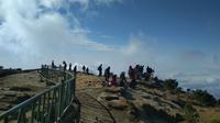 Para pendaki tengah menikmati pemandangan alam di puncak Gunung Ciremai via jalur pendakian Apuy Kabupaten Majalengka Jawa Barat. Foto (Liputan6.com / Panji Prayitno)