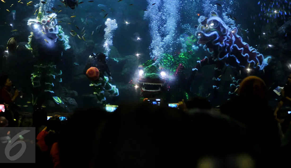 Pengunjung Wahana Seaworld Ancol melihat pertunjukan kesenian Barongsai di air saat perayaan imlek 2567, Jakarta, Senin (8/2). Atraksi barongsai ini merupakan rangkaian "Chinese Fantasy Parade" di Taman Impian Jaya Ancol. (Liputan6.com/JohanTallo)