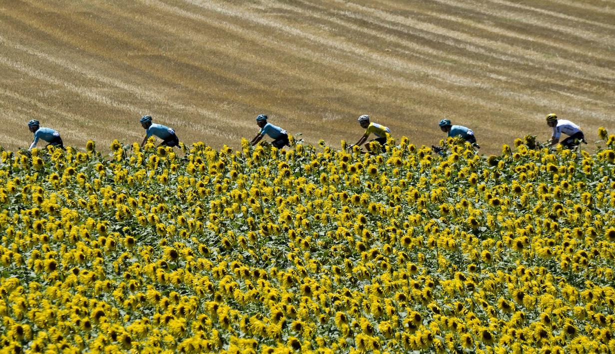 Pebalap Italia, Fabio Aru (4kanan) menggunakan jersey kuning bersama timnya melintasi kebun bungan pada etape ke-14 Tour de France dengan jarak 181,5 km antara Blagnac dan Rodez, (15/7/2017). (AFP/Pphilippe Lopez)