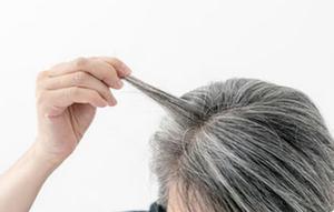 Padahal faktanya, rambut yang dicabut hanya hilang sementara dan akan tumbuh kembali dari akar yang sama. (Foto/Dok: freepik.com/real photo)