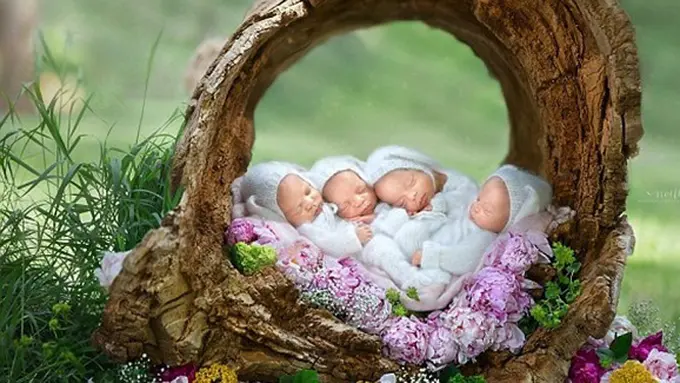 Photo: Copyright dailymail.co.uk