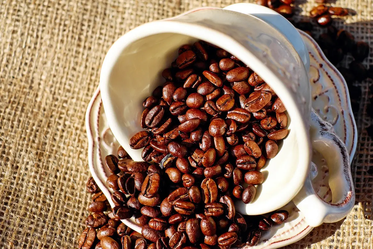 Ilustrasi Kopi