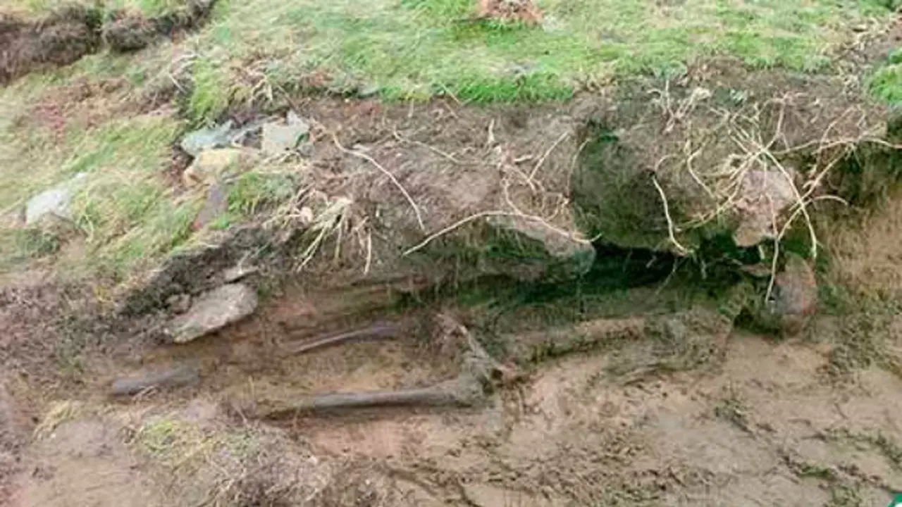Kerangka purba Kilmore Quay (0)
