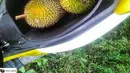 short desc