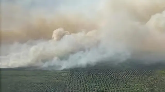 Kebakaran lahan di Kabupaten Rokan Hilir yang menghasilkan kabut asap.