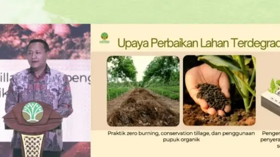 Alarm El Nino: Kemenhut Minta Rehabilitasi 12,3 Juta Hektare Lahan Kritis