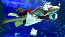 Penyelam berkostum sinterklas berenang dengan ikan di Sunshine Aquarium selama acara promosi Natal di Tokyo, Jumat (14/12). Sunshine Aquarium adalah rumah dari hampir 37.000 ekor ikan dan 750 jenis hewan laut. (Photo by Kazuhiro NOGI / AFP)