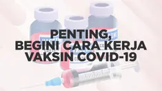 Kerja Vaksin