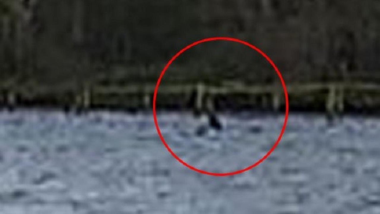 The Official Loch Ness Monster Sightings Register