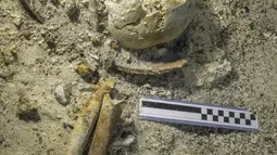 Kondisi kerangka manusia yang ditemukan perarian dekat Pulau Antikythera, Yunani, pada 6 September 2016. Kerangka manusia tersebut diyakini berusia sekitar 2.000 tahun.  (Greek Ministry of Culture/Reuters)