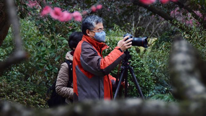 Seorang pengunjung memotret bunga plum di taman botani Hangzhou di Hangzhou, Provinsi Zhejiang, China timur (19/2/2020). Taman-taman dan objek wisata yang tergabung dalam kawasan Danau Barat telah dibuka kembali secara teratur pada Rabu (19/2). (Xinhua/Zheng Mengyu)