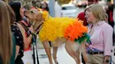 Carolina Saldana (kiri) berdiri dengan anjingnya JC yang berpakaian sebagai karakter burung Heihei dalam film Disney Moana selama kontes kostum anjing Halloween tahunan di Coral Gables Museum, Coral Gables, Florida, Amerika Serikat, Kamis (31/10/2019). (AP Photo/Lynne Sladky)