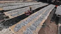 Pekerja menjemur ikan asin di Muara Angke, Jakarta, (4/12). Kementerian Perindustrian menyatakan mayoritas industri pengolahan ikan dengan izin usaha kesulitan mendapat bahan baku sehingga utilitas pabrik rata-rata tersisa 40%. (Liputan6.com/Angga Yuniar)