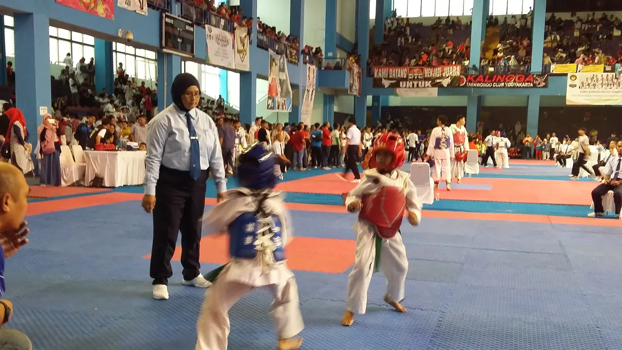 Taekwondo International Invitation 2017