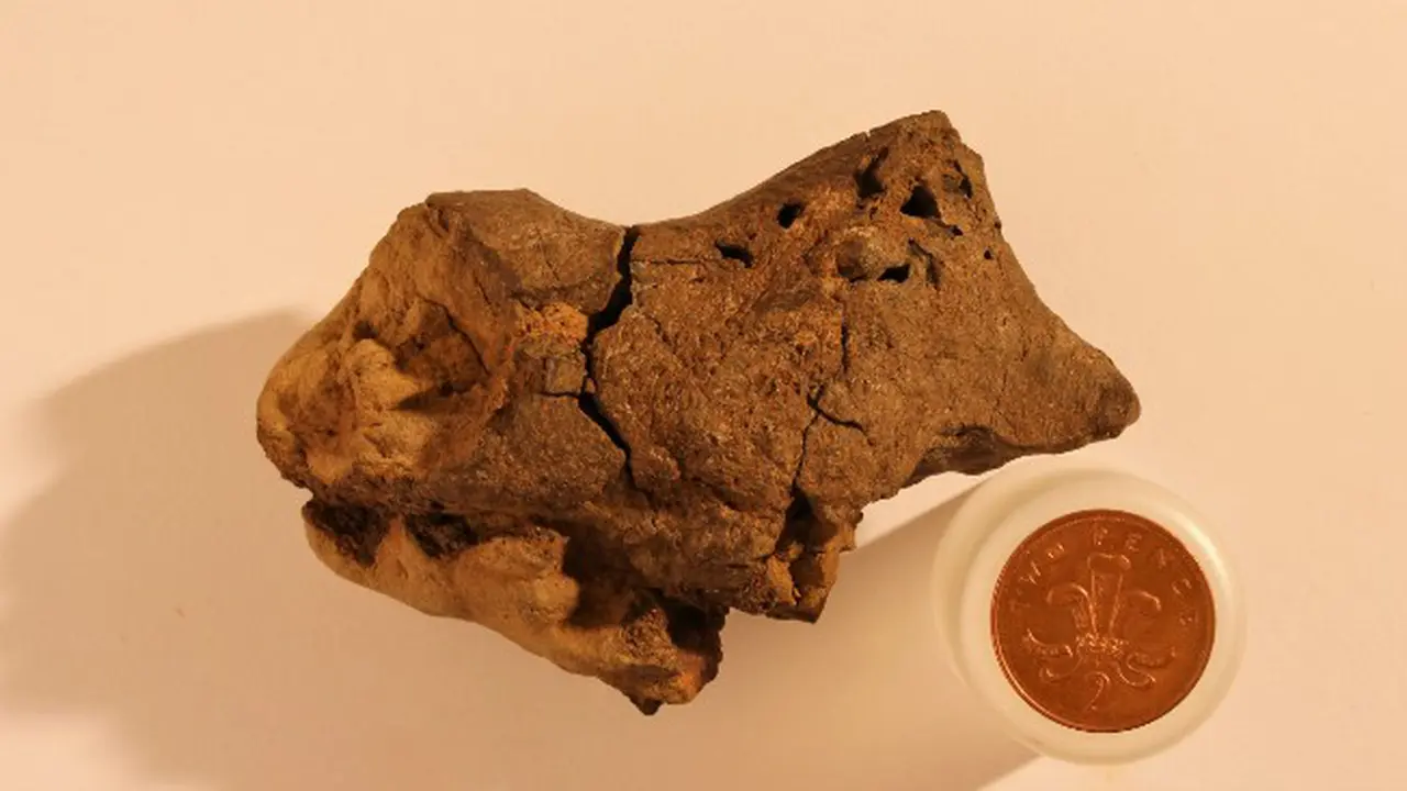 Otak Iguanodon (0)