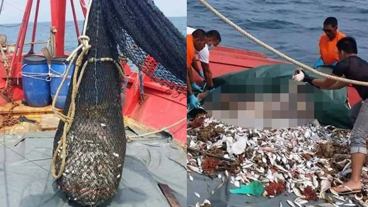 Dikira Ikan, Sosok Mengerikan Ini yang Ditangkap Nelayan di Laut
