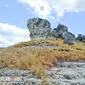 Membelah savana Sumba di bukit Tanarara.