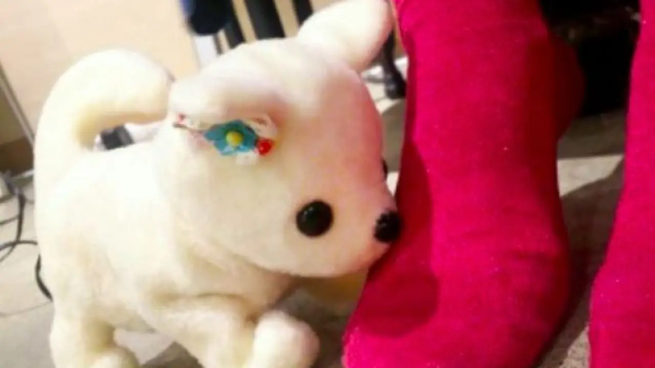 Robot Imut Pingsan,Jika Cium Kaki Bau Busuk