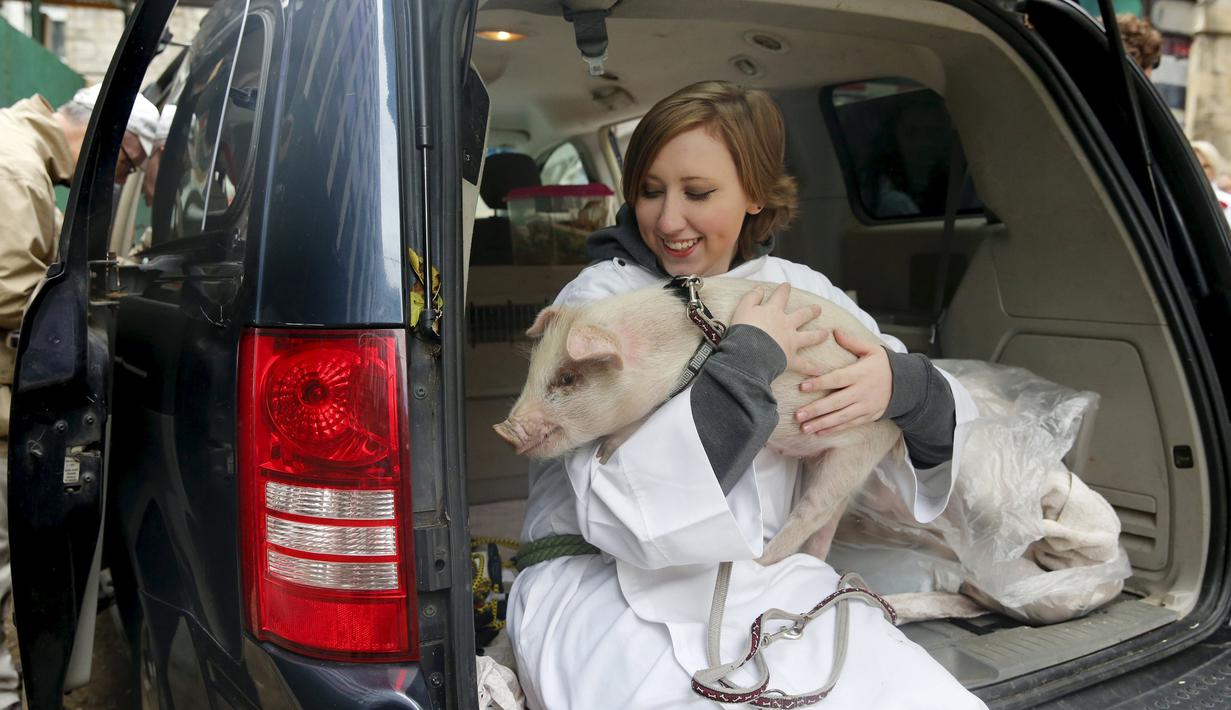 Seorang perempuan bersama seekor babi menunggu untuk diberi pemberkatan pada 31st annual Feast of Saint Francis di gereja Katredal Santo John the Divine, New York, Minggu (4/10/2015). (REUTERS/Elizabeth Shafiroff)