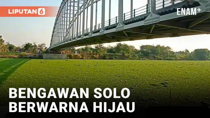 081921400_1698553612-sungai-bengawan-solo-berubah-jadi-hijau-warga-bereaksi-efa11f