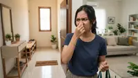8 Cara Membuat Ruangan Tetap Harum Tanpa Menggunakan Pengharum Elektrik, Pakai Bahan Sederhana