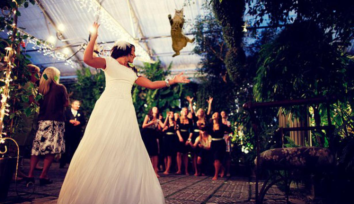 Foto Pengantin Pengantin Wanita Lempar  Kucing Bukan Buket  