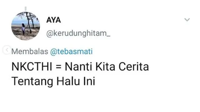 NKCTHI ala warganet