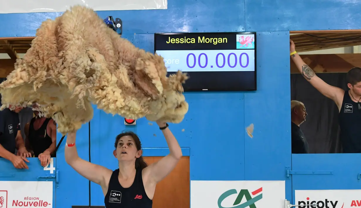 Jessica Morgan dari Wales melemparkan bulu domba saat mengikuti World Sheep Shearing and Woolhandling Championships di Le Dorat, Prancis (4/7/2019). Ada dua kategori yang diperlombakan mencukur dengan pisau tradisional dan mesin. (AFP Photo/Mehdi Fedouach)