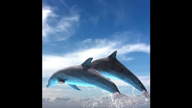 Foto: copyright mmn.com