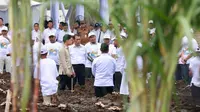 Akses Jalan Jadi Kunci, Petani Tebu Tagih Proyek Jalan Lintas Selatan