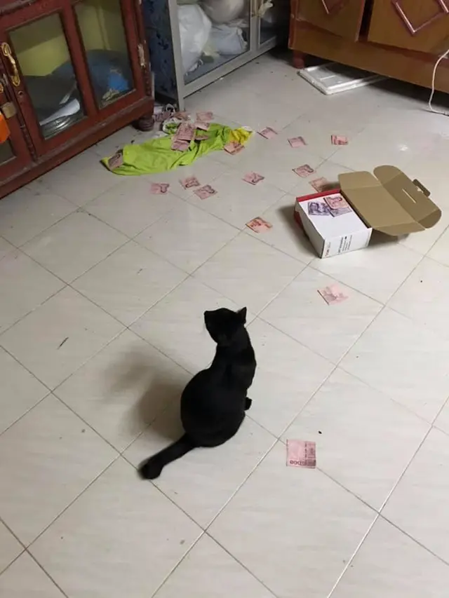 Tidak Sengaja Dijatuhkan Kucing, Wanita Ini Temukan Tabungan Rahasia Suami