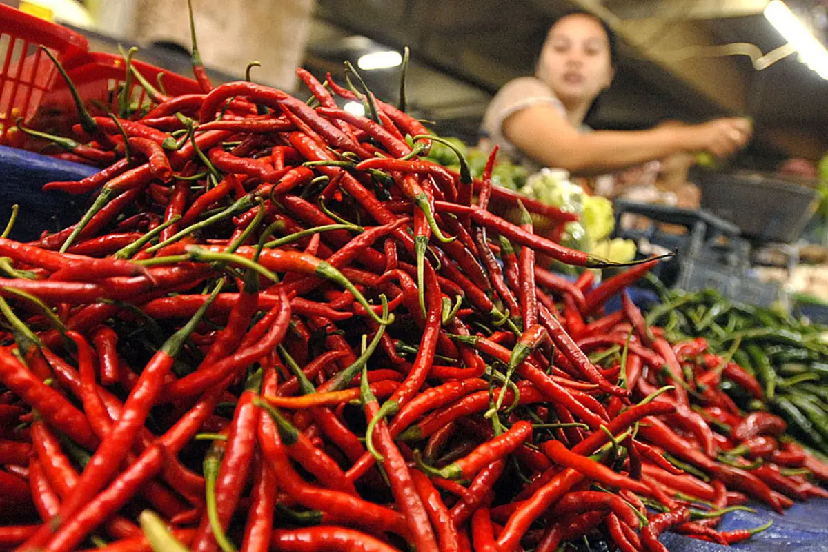 Ngeri, Harga Cabai Setara Daging Sapi