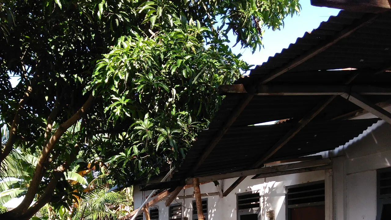 Rumah Angeline