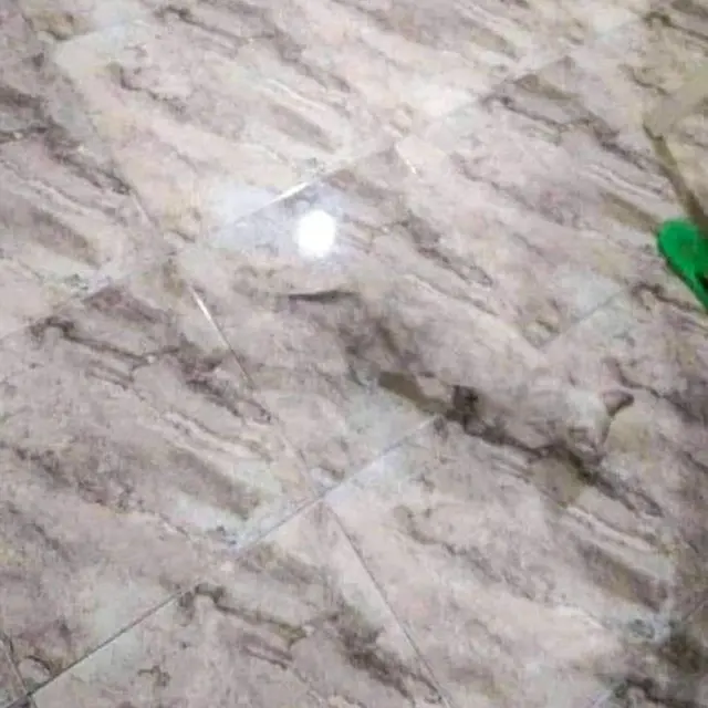Jago Berkamuflase, Ini 8 Potret Lucu Hewan Peliharaan Saat Bersembunyi