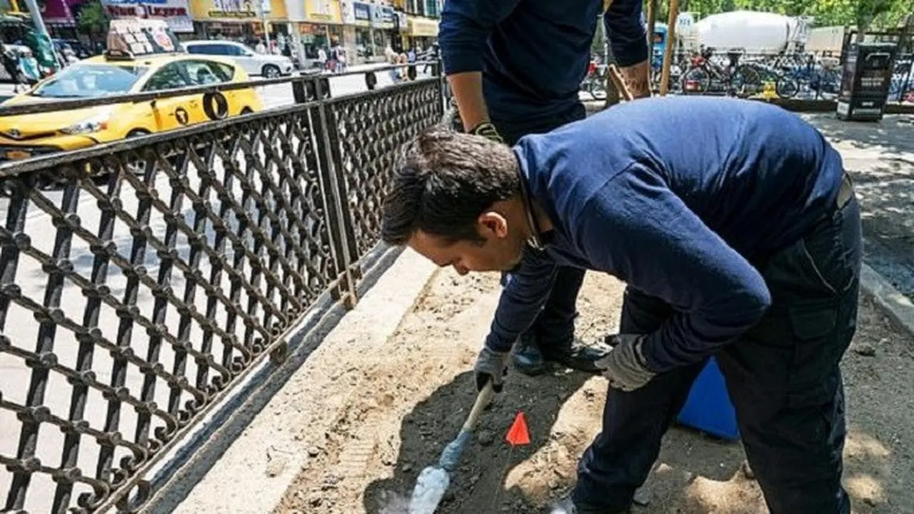 Tikus di New York City