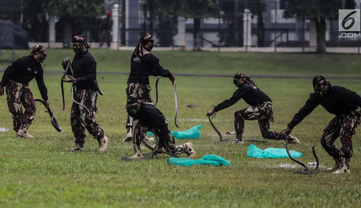 Atraksi menjinakan ular kobra oleh personel Komando Pasukan Khusus (Kopassus) pada Upacara Penyerahan Satuan di Lapangan Mako Kopassus, Jakarta, Jumat (23/3). Satuan Kopassus resmi dipimpin Mayjen TNI Eko Margyono. (Liputan6.com/Faizal Fanani)
