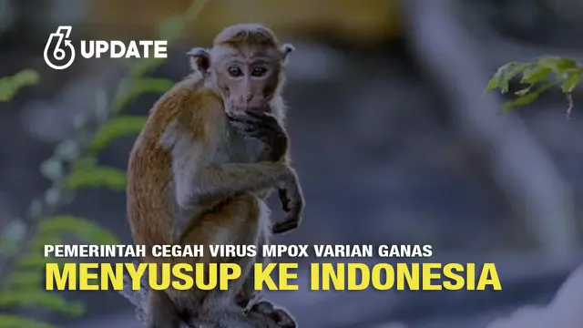 Pemerintah Cegah Virus Mpox Varian Ganas Menyusup ke Indonesia