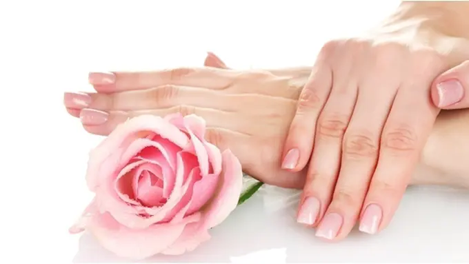 Foto: copyright by shutterstock.com