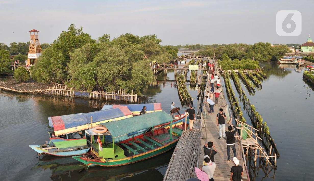 Foto Pesona Wisata Mangrove Di Tarumajaya Bekasi Lifestyle