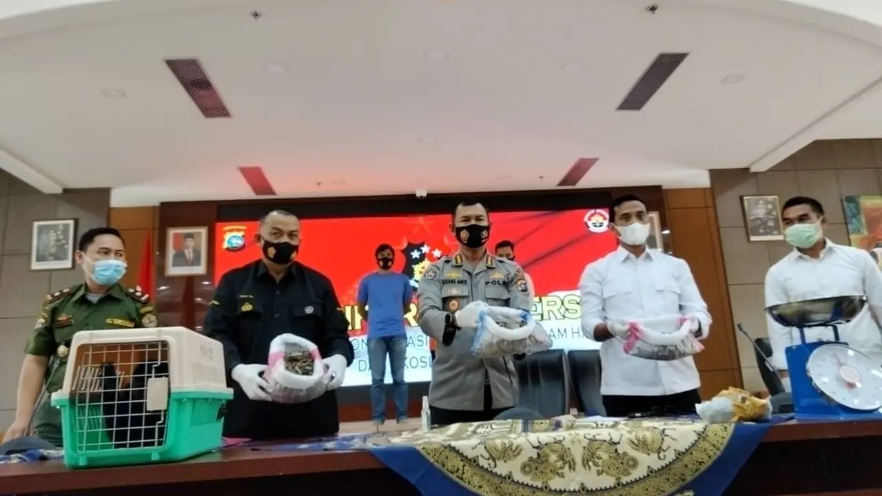 Polda sumbar merilis penangkapan pelaku yang terlibat jual beli satwa langka di Kabupaten Solok. (Liputan6.com/ Novia Harlina)