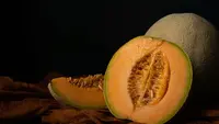 Cara Mudah Tanam Melon Bagi Pemula untuk Omzet Menggiurkan