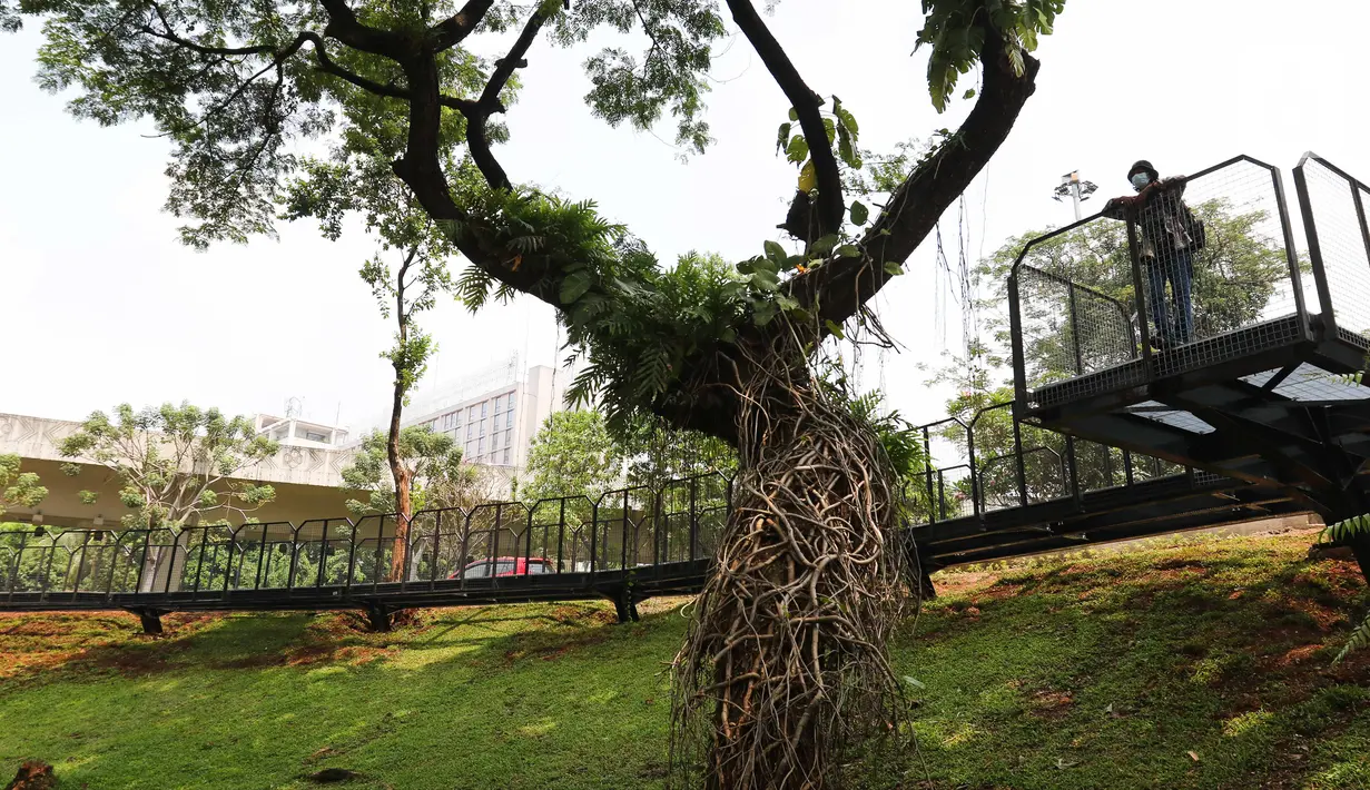 Warga melihat pemandangan dari fasilitas pejalan kaki di Taman Semanggi, Jakarta, Rabu (12/10/2022). Gubernur DKI Jakarta Anies Baswedan menyatakan pembangunan fasilitas pejalan kaki dan jalur sepeda itu bertujuan untuk memberikan ruang interaksi dan oase baru bagi warga Ibu Kota dan sekitarnya. (Liputan6.com/Herman Zakharia)