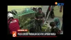 Sejumlah warga di Lhokseumawe, Aceh, mengamuk dan mendobrak pintu untuk mendapatkan gas elpiji 3 kg yang ditimbun oleh sebuah pangkalan tabung gas.