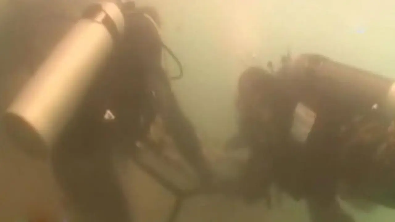 Lip6 Petang- Tukik