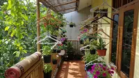 7 Kebun Mini Gantung dari Hanger Bekas, Cocok untuk Teras Rumah Kecil